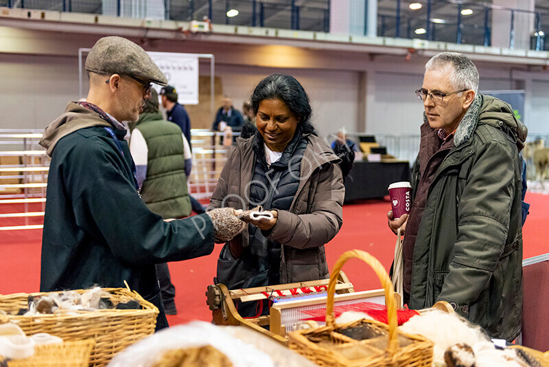 IWM9208 
 Photography of BAS National Show 2023 
 Keywords: Surrey Photographer, Alpacas, Suri, Huacaya, 2023, BAS, British Alpaca Society, Alpaca, Suri, Huacaya, Fleece Judging, Halter Show