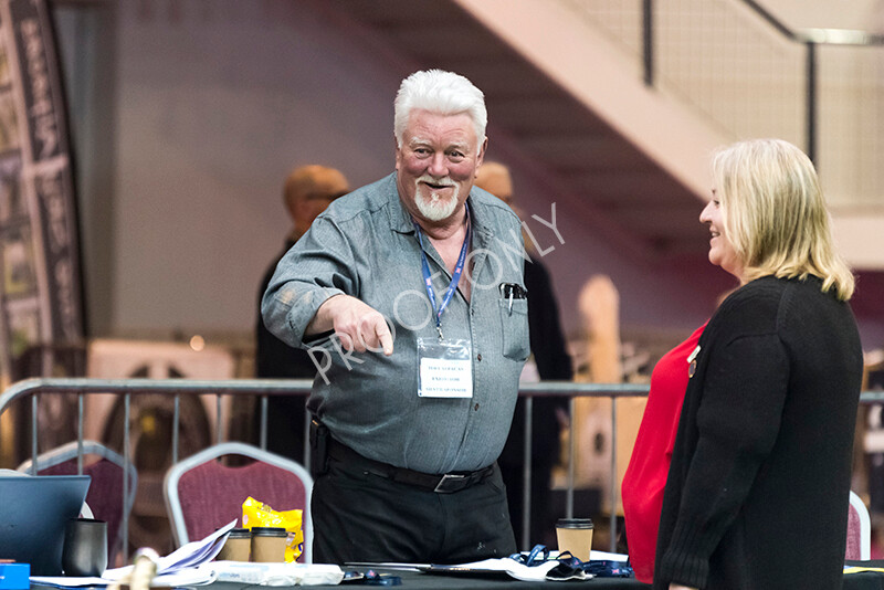 IWM4588 
 BAS National Show 2022 
 Keywords: Surrey Photographer, Alpacas, Suri, Huacaya, BAS National Show 2022, BAS' British Alpaca Society