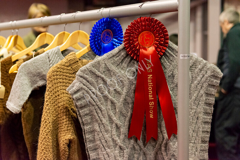 IWM9204 
 Photography of BAS National Show 2023 
 Keywords: Surrey Photographer, Alpacas, Suri, Huacaya, 2023, BAS, British Alpaca Society, Alpaca, Suri, Huacaya, Fleece Judging, Halter Show