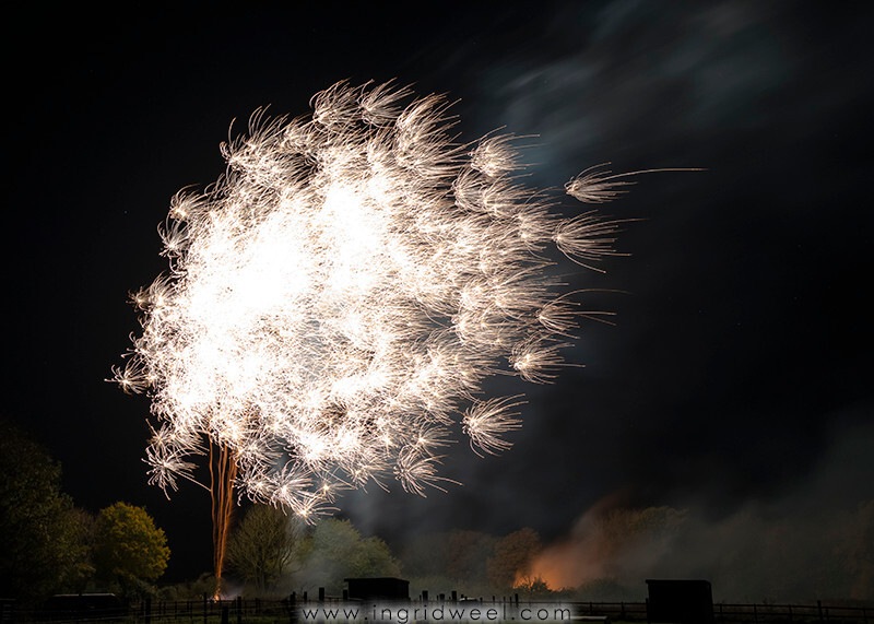 IWM3876 
 SWANTON MORELEY FIREWORKS 2015 
 Keywords: FIREWORKS, GUY FAWKES, BONFIRE, 5TH NOVEMBER, INGRID WEEL, INGRIDWEEL MEDIA LTD, PHOTOGRAPHY, SURREY, WEDDINGS, CORPORATE, PR, EVENTS, SWANTON MORELEY, NORFOLK