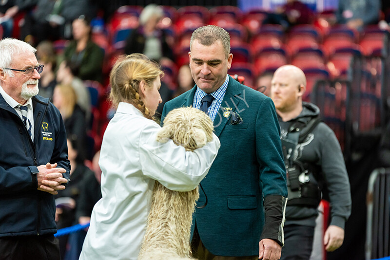 IWP9991 
 BAS National Show 2024 
 Keywords: British Alpaca Society, National Show, 2024, Champion of Champions Fleece Show, Alpaca, Suri, Huacaya