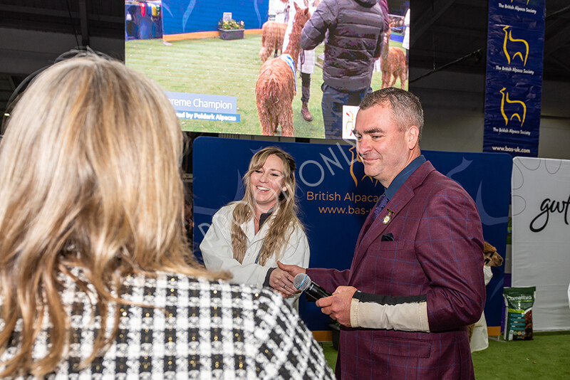 IWP1655 
 BAS National Show 2024 
 Keywords: British Alpaca Society, National Show, 2024, Champion of Champions Fleece Show, Alpaca, Suri, Huacaya