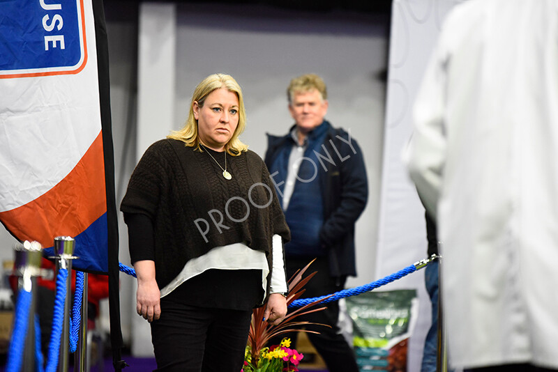 IWP9828 
 BAS National Show 2024 
 Keywords: British Alpaca Society, National Show, 2024, Champion of Champions Fleece Show, Alpaca, Suri, Huacaya