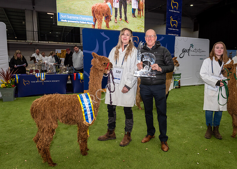 IWP1658 
 BAS National Show 2024 
 Keywords: British Alpaca Society, National Show, 2024, Champion of Champions Fleece Show, Alpaca, Suri, Huacaya