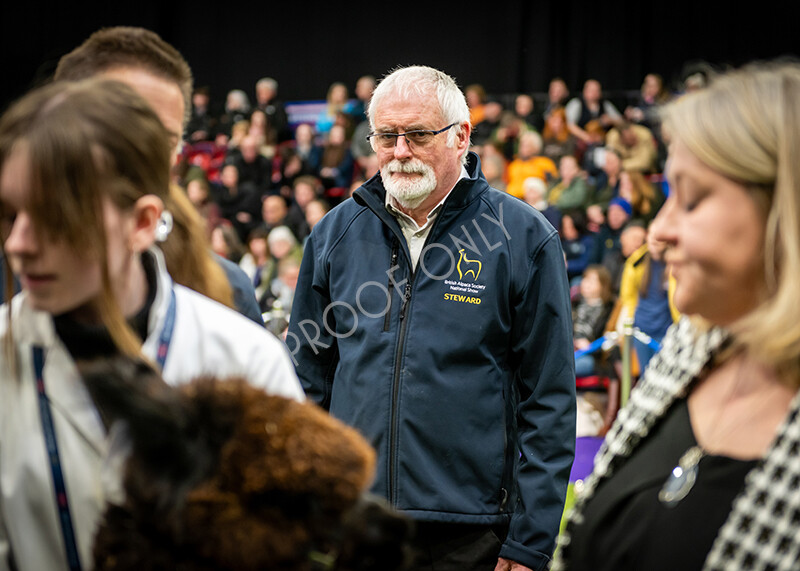 IWP1723 
 BAS National Show 2024 
 Keywords: British Alpaca Society, National Show, 2024, Champion of Champions Fleece Show, Alpaca, Suri, Huacaya