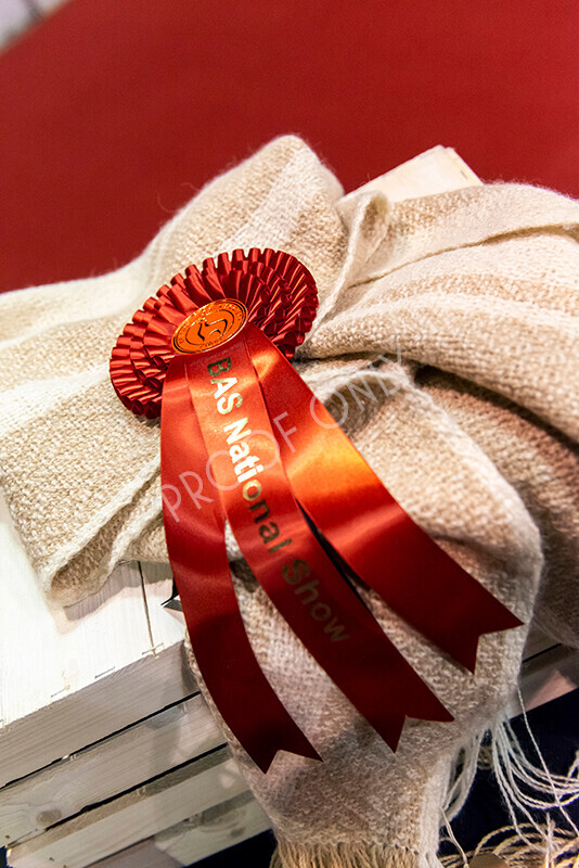 IWM9199 
 Photography of BAS National Show 2023 
 Keywords: Surrey Photographer, Alpacas, Suri, Huacaya, 2023, BAS, British Alpaca Society, Alpaca, Suri, Huacaya, Fleece Judging, Halter Show