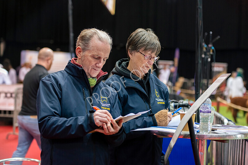 IWM8623 
 Photography of BAS National Show 2023 
 Keywords: Surrey Photographer, Alpacas, Suri, Huacaya, 2023, BAS, British Alpaca Society, Alpaca, Suri, Huacaya, Fleece Judging, Halter Show