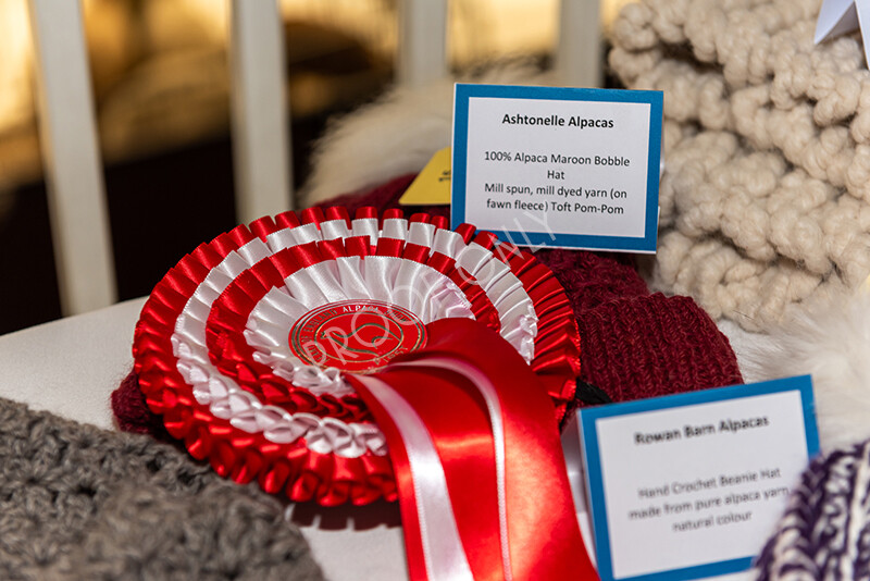 IWP4004 
 HOEAG Spring Fiesta 2024 
 Keywords: Heart of England Alpaca Group, Spring Fiesta 2024, Alpaca Show, Fleece Show Alpaca, Suri, Huacaya