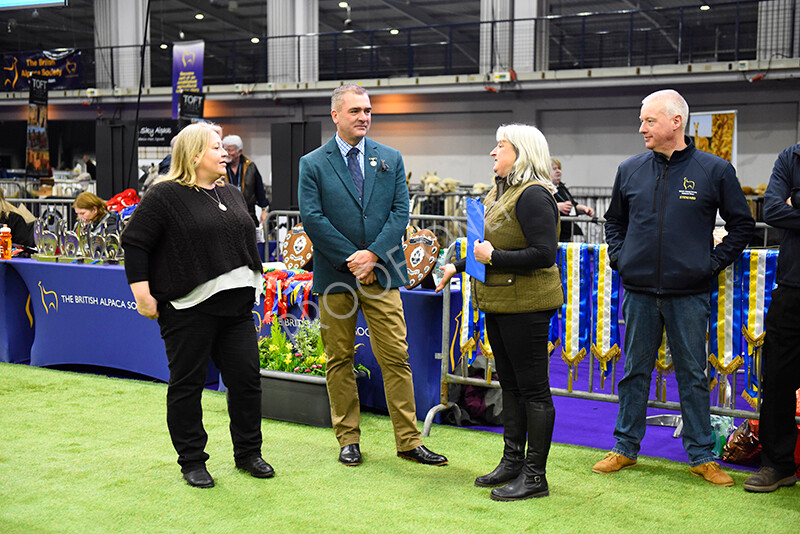 IWP9750 
 BAS National Show 2024 
 Keywords: British Alpaca Society, National Show, 2024, Champion of Champions Fleece Show, Alpaca, Suri, Huacaya