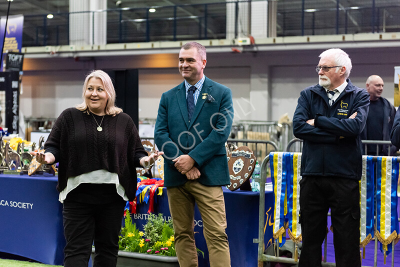 IWP9777 
 BAS National Show 2024 
 Keywords: British Alpaca Society, National Show, 2024, Champion of Champions Fleece Show, Alpaca, Suri, Huacaya