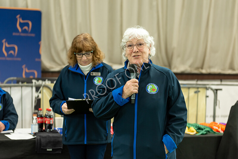 IWP3912 
 HOEAG Spring Fiesta 2024 
 Keywords: Heart of England Alpaca Group, Spring Fiesta 2024, Alpaca Show, Fleece Show Alpaca, Suri, Huacaya