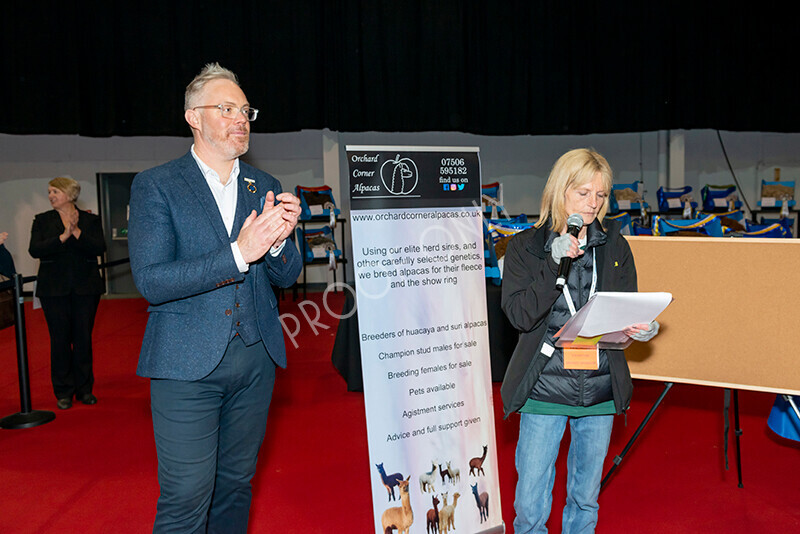 IWM8409 
 Photography of BAS National Show 2023 
 Keywords: Surrey Photographer, Alpacas, Suri, Huacaya, 2023, BAS, British Alpaca Society, Alpaca, Suri, Huacaya, Fleece Judging, Halter Show