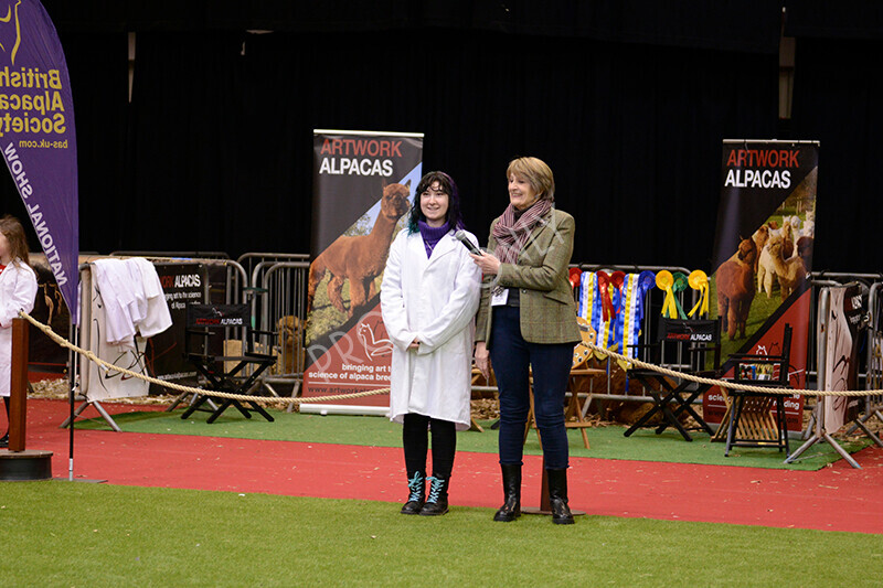 IWM9964 
 Photography of BAS National Show 2023 
 Keywords: Surrey Photographer, Alpacas, Suri, Huacaya, 2023, BAS, British Alpaca Society, Alpaca, Suri, Huacaya, Fleece Judging, Halter Show