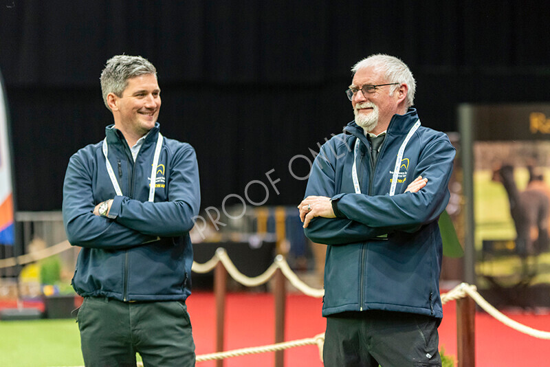 IWM8084 
 Photography of BAS National Show 2023 
 Keywords: Surrey Photographer, Alpacas, Suri, Huacaya, 2023, BAS, British Alpaca Society, Alpaca, Suri, Huacaya, Fleece Judging, Halter Show