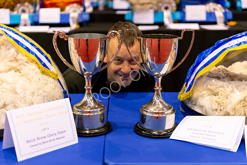 IWM8502 
 Photography of BAS National Show 2023 
 Keywords: Surrey Photographer, Alpacas, Suri, Huacaya, 2023, BAS, British Alpaca Society, Alpaca, Suri, Huacaya, Fleece Judging, Halter Show