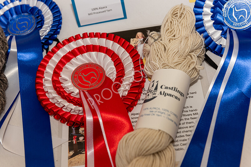 IWP4005 
 HOEAG Spring Fiesta 2024 
 Keywords: Heart of England Alpaca Group, Spring Fiesta 2024, Alpaca Show, Fleece Show Alpaca, Suri, Huacaya