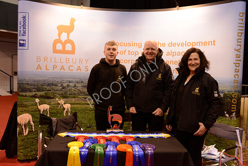 IWM9764 
 Photography of BAS National Show 2023 
 Keywords: Surrey Photographer, Alpacas, Suri, Huacaya, 2023, BAS, British Alpaca Society, Alpaca, Suri, Huacaya, Fleece Judging, Halter Show