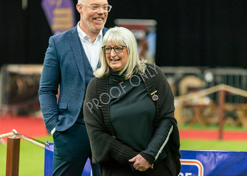 IWM8126 
 Photography of BAS National Show 2023 
 Keywords: Surrey Photographer, Alpacas, Suri, Huacaya, 2023, BAS, British Alpaca Society, Alpaca, Suri, Huacaya, Fleece Judging, Halter Show