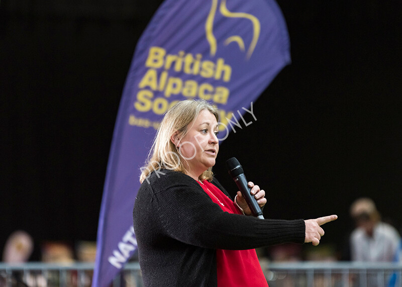 IWM4671 
 BAS National Show 2022 
 Keywords: Surrey Photographer, Alpacas, Suri, Huacaya, BAS National Show 2022, BAS' British Alpaca Society