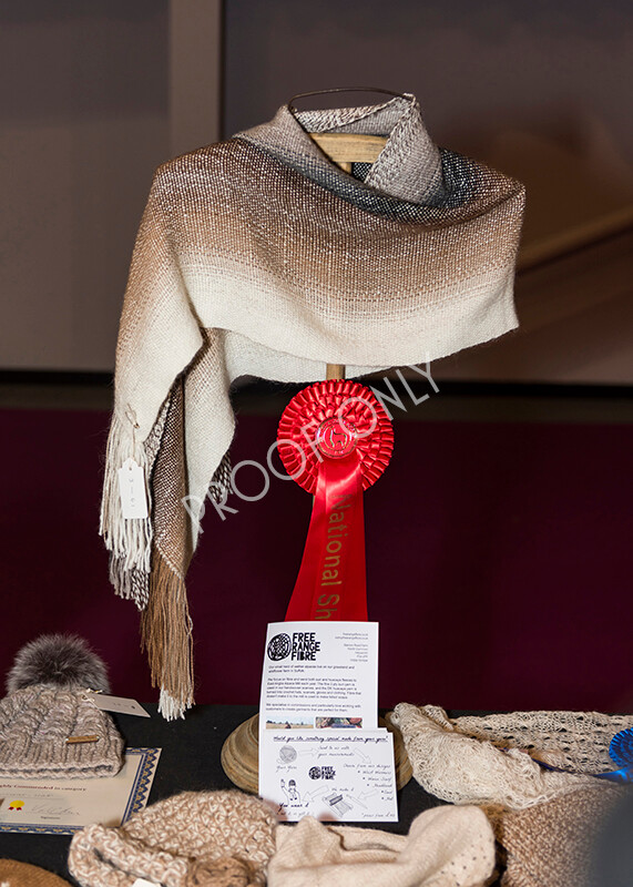 IWM5249 
 BAS National Show 2022 
 Keywords: Surrey Photographer, Alpacas, Suri, Huacaya, BAS National Show 2022, BAS' British Alpaca Society