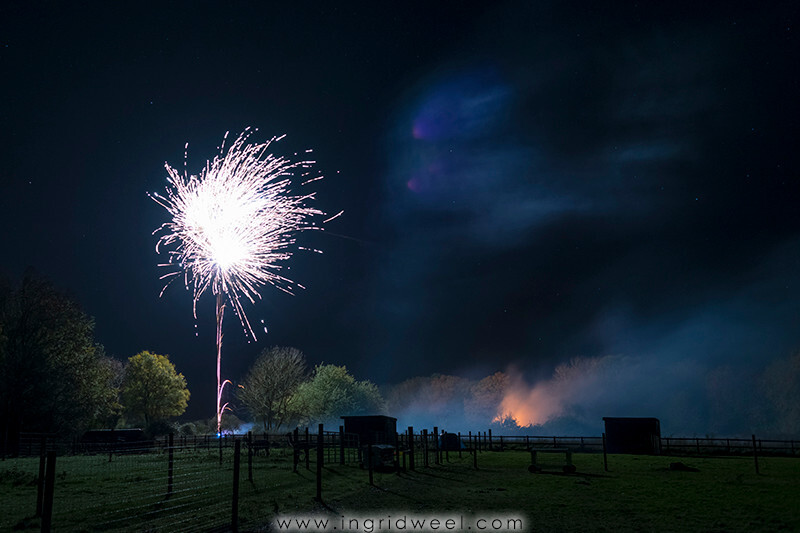 IWM3891 
 SWANTON MORELEY FIREWORKS 2015 
 Keywords: FIREWORKS, GUY FAWKES, BONFIRE, 5TH NOVEMBER, INGRID WEEL, INGRIDWEEL MEDIA LTD, PHOTOGRAPHY, SURREY, WEDDINGS, CORPORATE, PR, EVENTS, SWANTON MORELEY, NORFOLK