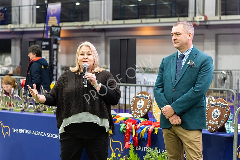 IWP9791 
 BAS National Show 2024 
 Keywords: British Alpaca Society, National Show, 2024, Champion of Champions Fleece Show, Alpaca, Suri, Huacaya