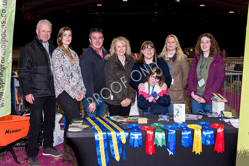 IWM5377 
 BAS National Show 2022 
 Keywords: Surrey Photographer, Alpacas, Suri, Huacaya, BAS National Show 2022, BAS' British Alpaca Society