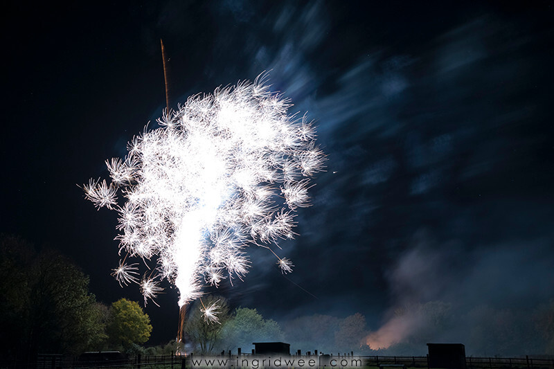 IWM3871 
 SWANTON MORELEY FIREWORKS 2015 
 Keywords: FIREWORKS, GUY FAWKES, BONFIRE, 5TH NOVEMBER, INGRID WEEL, INGRIDWEEL MEDIA LTD, PHOTOGRAPHY, SURREY, WEDDINGS, CORPORATE, PR, EVENTS, SWANTON MORELEY, NORFOLK