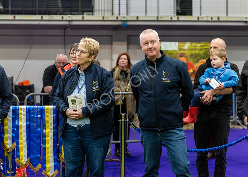 IWP9781 
 BAS National Show 2024 
 Keywords: British Alpaca Society, National Show, 2024, Champion of Champions Fleece Show, Alpaca, Suri, Huacaya