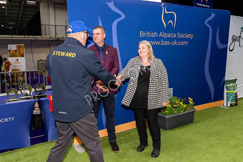 IWP1763 
 BAS National Show 2024 
 Keywords: British Alpaca Society, National Show, 2024, Champion of Champions Fleece Show, Alpaca, Suri, Huacaya