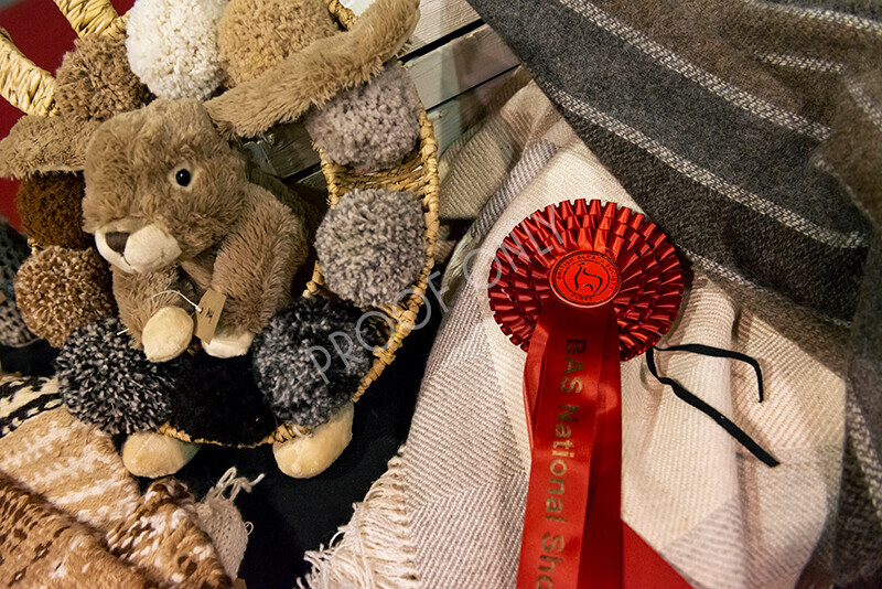 IWM9193 
 Photography of BAS National Show 2023 
 Keywords: Surrey Photographer, Alpacas, Suri, Huacaya, 2023, BAS, British Alpaca Society, Alpaca, Suri, Huacaya, Fleece Judging, Halter Show