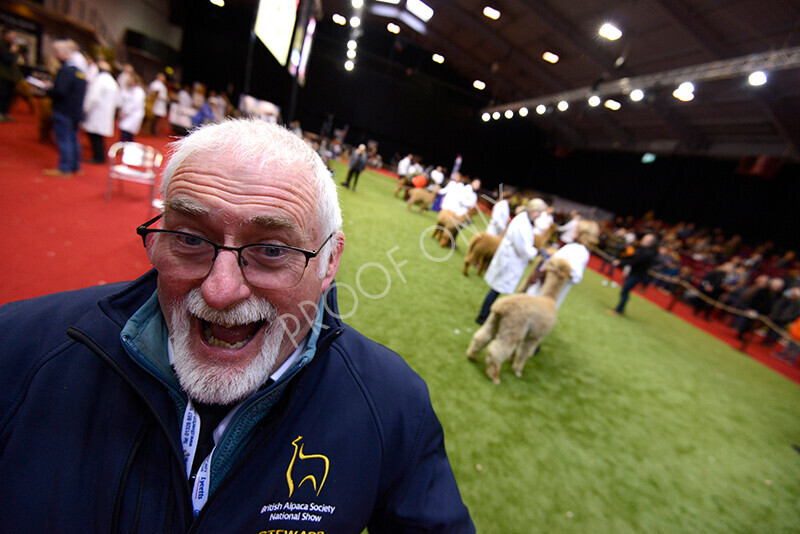 IWM9002 
 Photography of BAS National Show 2023 
 Keywords: Surrey Photographer, Alpacas, Suri, Huacaya, 2023, BAS, British Alpaca Society, Alpaca, Suri, Huacaya, Fleece Judging, Halter Show