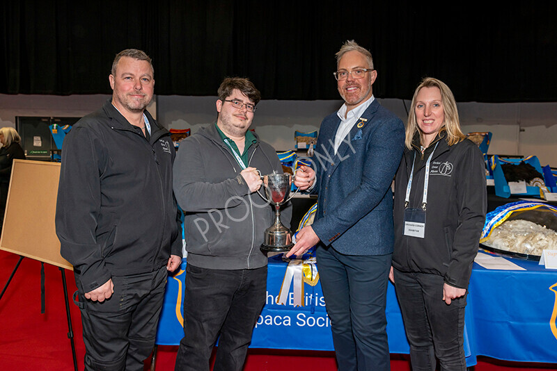 IWM8429 
 Photography of BAS National Show 2023 
 Keywords: Surrey Photographer, Alpacas, Suri, Huacaya, 2023, BAS, British Alpaca Society, Alpaca, Suri, Huacaya, Fleece Judging, Halter Show