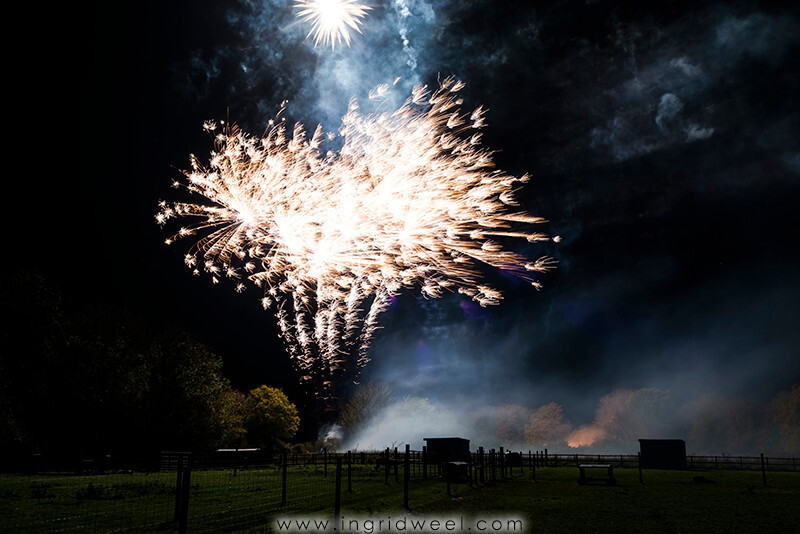 IWM3911 
 SWANTON MORELEY FIREWORKS 2015 
 Keywords: FIREWORKS, GUY FAWKES, BONFIRE, 5TH NOVEMBER, INGRID WEEL, INGRIDWEEL MEDIA LTD, PHOTOGRAPHY, SURREY, WEDDINGS, CORPORATE, PR, EVENTS, SWANTON MORELEY, NORFOLK