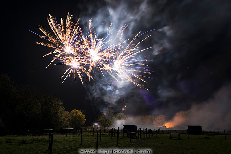 IWM3907 
 SWANTON MORELEY FIREWORKS 2015 
 Keywords: FIREWORKS, GUY FAWKES, BONFIRE, 5TH NOVEMBER, INGRID WEEL, INGRIDWEEL MEDIA LTD, PHOTOGRAPHY, SURREY, WEDDINGS, CORPORATE, PR, EVENTS, SWANTON MORELEY, NORFOLK