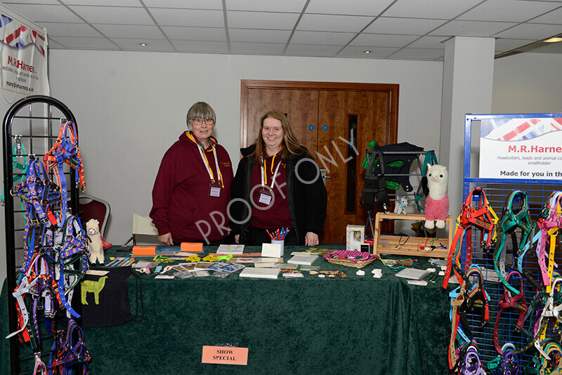 IWM9260 
 Photography of BAS National Show 2023 
 Keywords: Surrey Photographer, Alpacas, Suri, Huacaya, 2023, BAS, British Alpaca Society, Alpaca, Suri, Huacaya, Fleece Judging, Halter Show