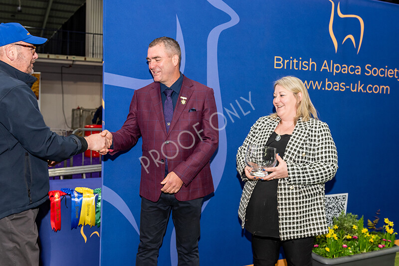 IWP1766 
 BAS National Show 2024 
 Keywords: British Alpaca Society, National Show, 2024, Champion of Champions Fleece Show, Alpaca, Suri, Huacaya