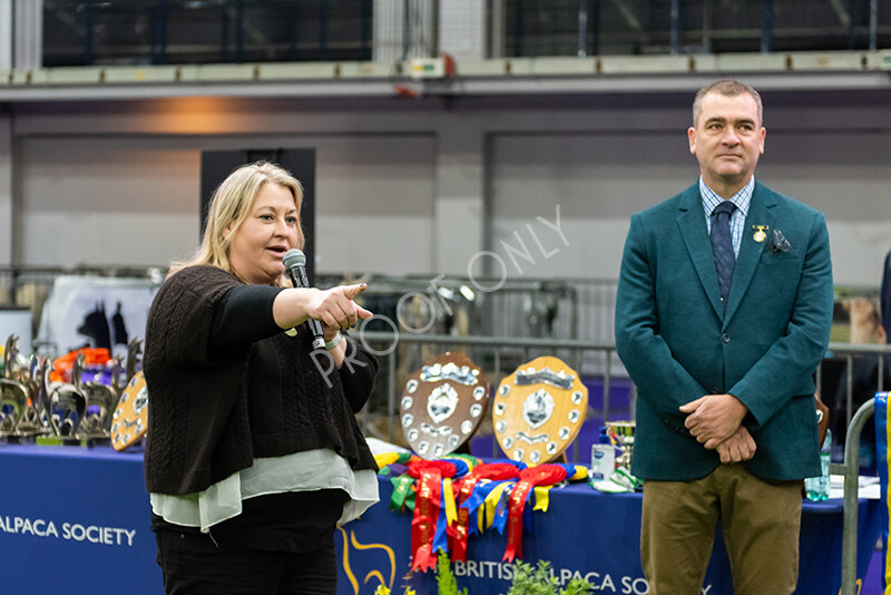 IWP9802 
 BAS National Show 2024 
 Keywords: British Alpaca Society, National Show, 2024, Champion of Champions Fleece Show, Alpaca, Suri, Huacaya