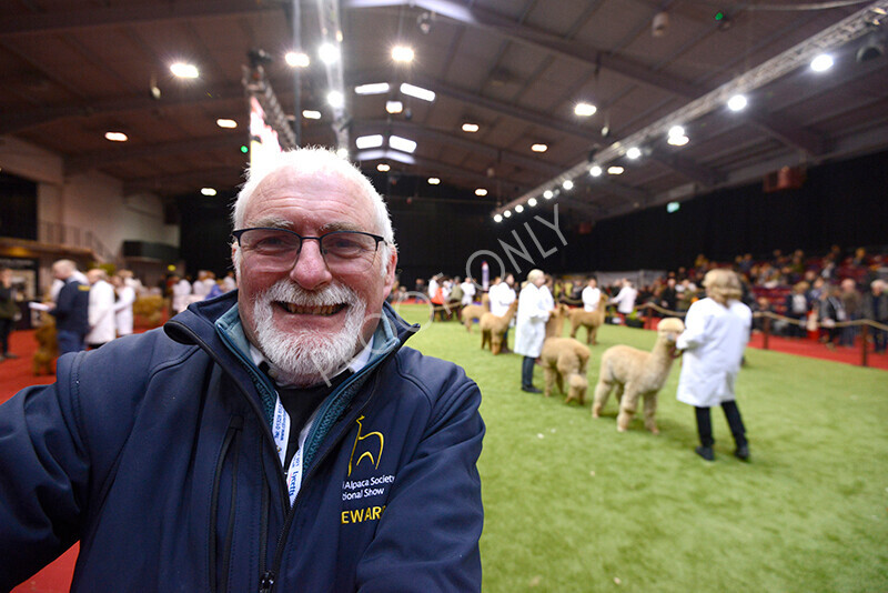 IWM9000 
 Photography of BAS National Show 2023 
 Keywords: Surrey Photographer, Alpacas, Suri, Huacaya, 2023, BAS, British Alpaca Society, Alpaca, Suri, Huacaya, Fleece Judging, Halter Show