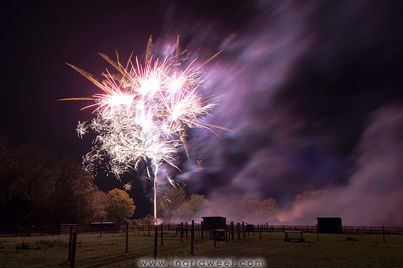 IWM3906 
 SWANTON MORELEY FIREWORKS 2015 
 Keywords: FIREWORKS, GUY FAWKES, BONFIRE, 5TH NOVEMBER, INGRID WEEL, INGRIDWEEL MEDIA LTD, PHOTOGRAPHY, SURREY, WEDDINGS, CORPORATE, PR, EVENTS, SWANTON MORELEY, NORFOLK