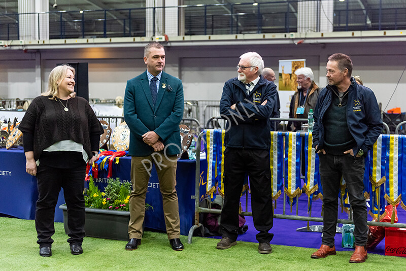 IWP9782 
 BAS National Show 2024 
 Keywords: British Alpaca Society, National Show, 2024, Champion of Champions Fleece Show, Alpaca, Suri, Huacaya