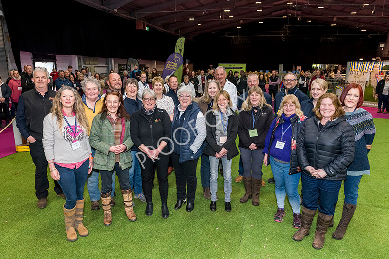 IWM6032 
 BAS National Show 2022 
 Keywords: Surrey Photographer, Alpacas, Suri, Huacaya, BAS National Show 2022, BAS' British Alpaca Society