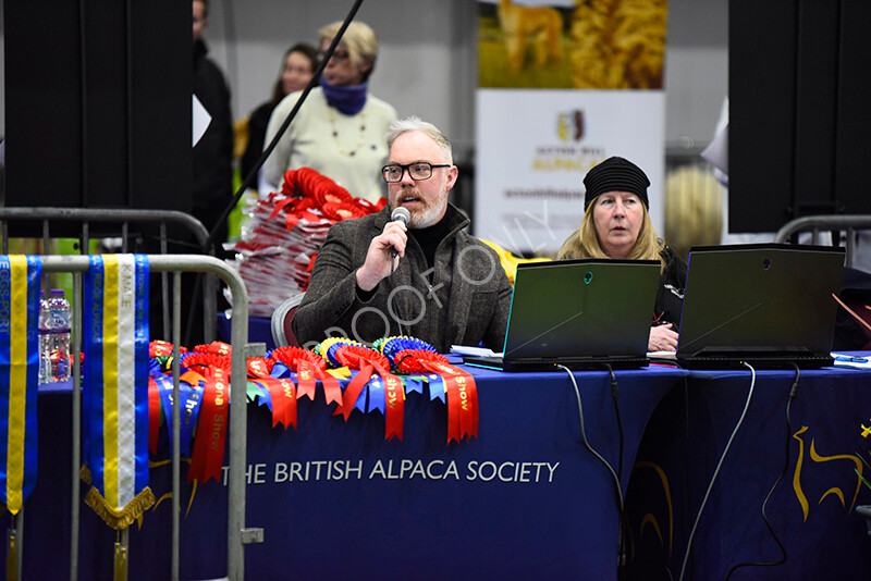 IWP9819 
 BAS National Show 2024 
 Keywords: British Alpaca Society, National Show, 2024, Champion of Champions Fleece Show, Alpaca, Suri, Huacaya