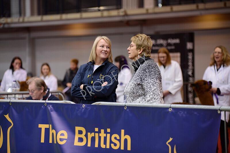 IWM8593 
 Photography of BAS National Show 2023 
 Keywords: Surrey Photographer, Alpacas, Suri, Huacaya, 2023, BAS, British Alpaca Society, Alpaca, Suri, Huacaya, Fleece Judging, Halter Show