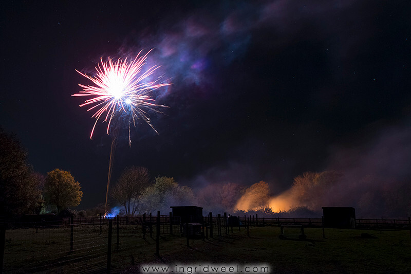 IWM3881 
 SWANTON MORELEY FIREWORKS 2015 
 Keywords: FIREWORKS, GUY FAWKES, BONFIRE, 5TH NOVEMBER, INGRID WEEL, INGRIDWEEL MEDIA LTD, PHOTOGRAPHY, SURREY, WEDDINGS, CORPORATE, PR, EVENTS, SWANTON MORELEY, NORFOLK