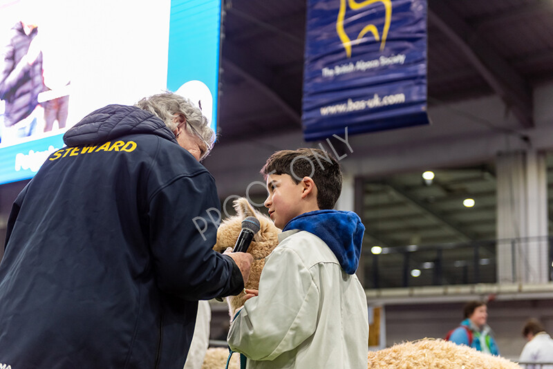 IWP0761 
 BAS National Show 2024 
 Keywords: British Alpaca Society, National Show, 2024, Champion of Champions Fleece Show, Alpaca, Suri, Huacaya