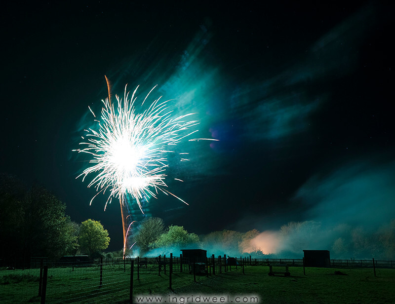 IWM3893 
 SWANTON MORELEY FIREWORKS 2015 
 Keywords: FIREWORKS, GUY FAWKES, BONFIRE, 5TH NOVEMBER, INGRID WEEL, INGRIDWEEL MEDIA LTD, PHOTOGRAPHY, SURREY, WEDDINGS, CORPORATE, PR, EVENTS, SWANTON MORELEY, NORFOLK