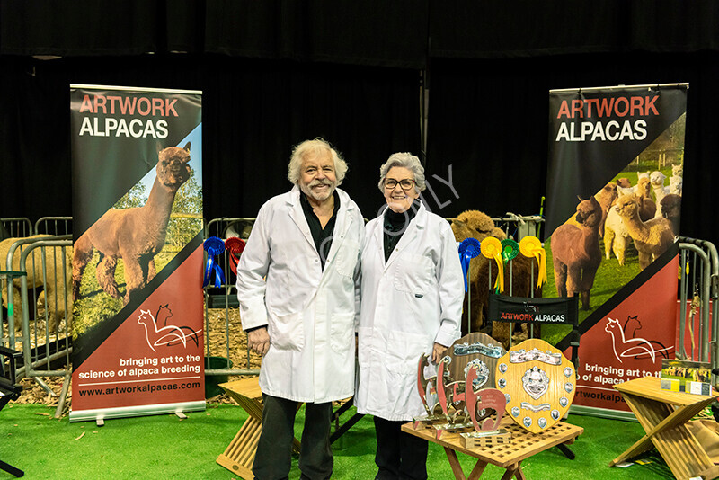 IWM9670 
 Photography of BAS National Show 2023 
 Keywords: Surrey Photographer, Alpacas, Suri, Huacaya, 2023, BAS, British Alpaca Society, Alpaca, Suri, Huacaya, Fleece Judging, Halter Show