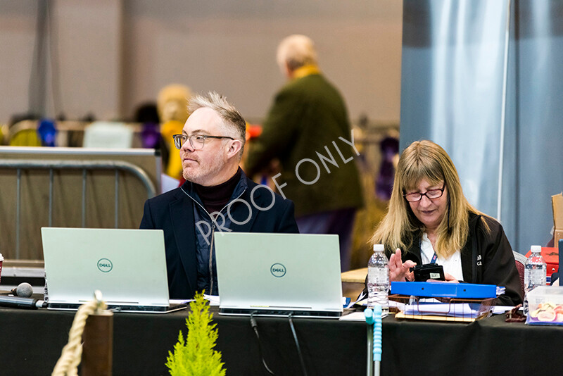 IWM4969 
 BAS National Show 2022 
 Keywords: Surrey Photographer, Alpacas, Suri, Huacaya, BAS National Show 2022, BAS' British Alpaca Society