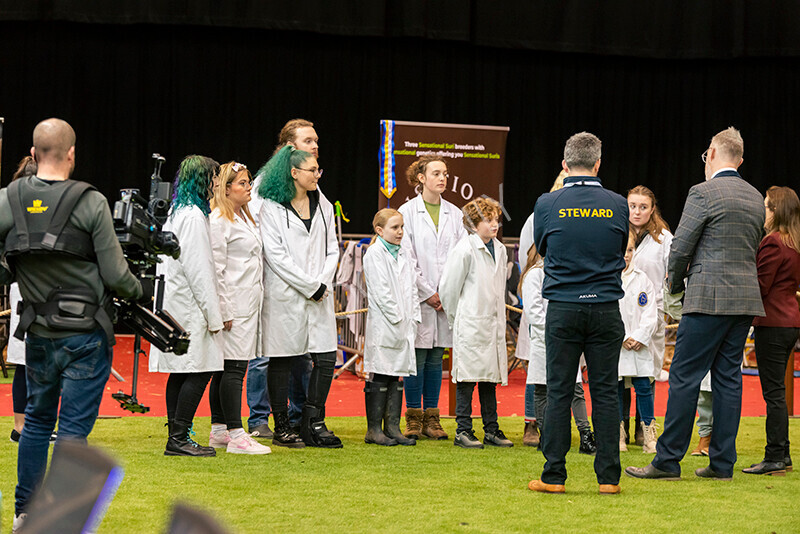 IWM9785 
 Photography of BAS National Show 2023 
 Keywords: Surrey Photographer, Alpacas, Suri, Huacaya, 2023, BAS, British Alpaca Society, Alpaca, Suri, Huacaya, Fleece Judging, Halter Show